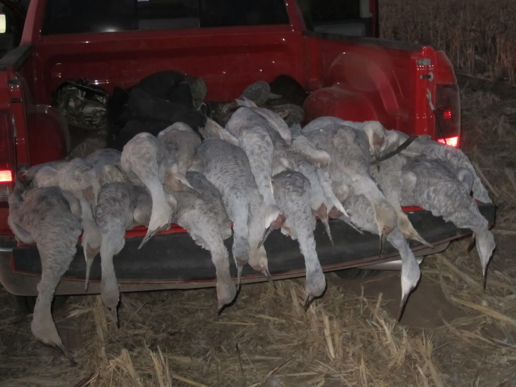 West Texas Goose Hunt Texas Duck Hunting